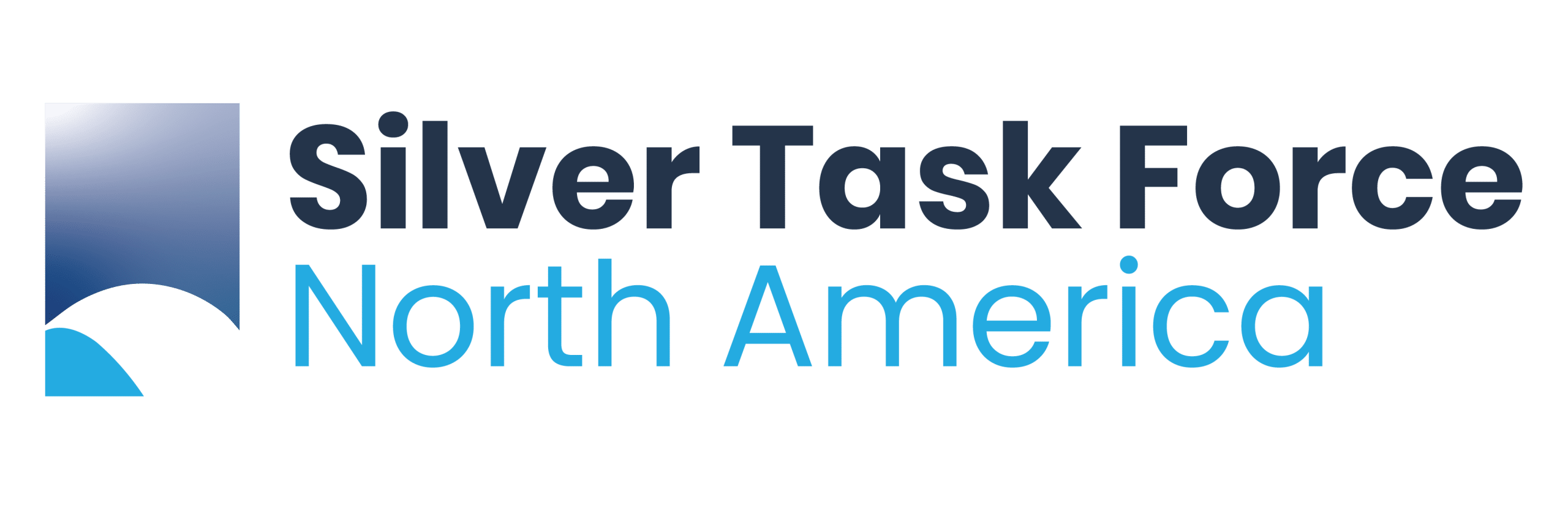 Silver Task Force North America